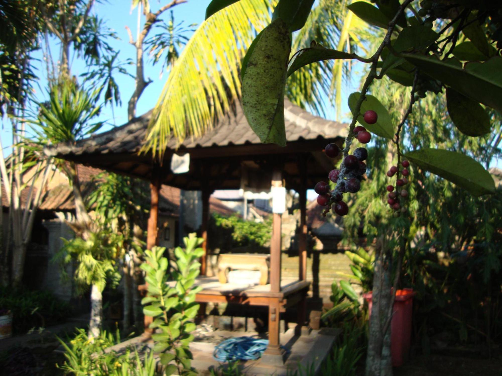 Gusti Home Stay Ubud Phòng bức ảnh
