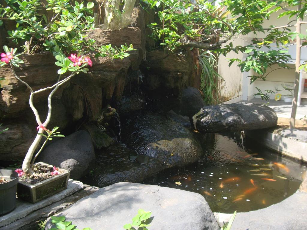 Gusti Home Stay Ubud Ngoại thất bức ảnh
